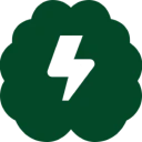 Green energy icon with lightning bolt
